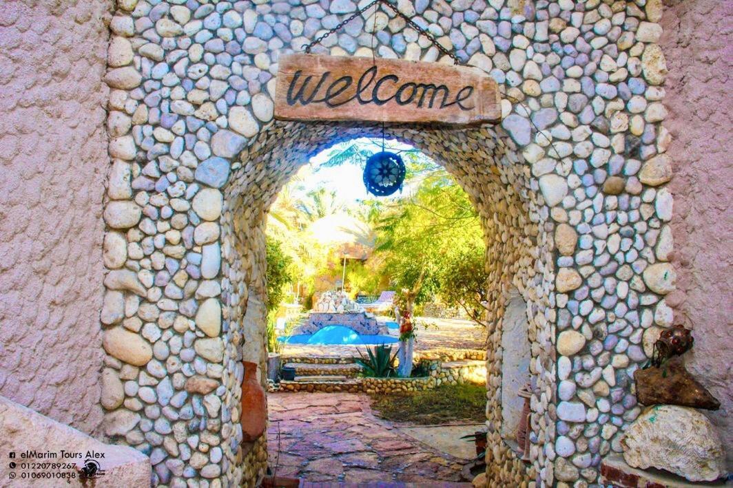 Dream Lodge Siwa Siwa Oasis Dış mekan fotoğraf