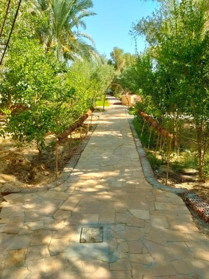 Dream Lodge Siwa Siwa Oasis Dış mekan fotoğraf