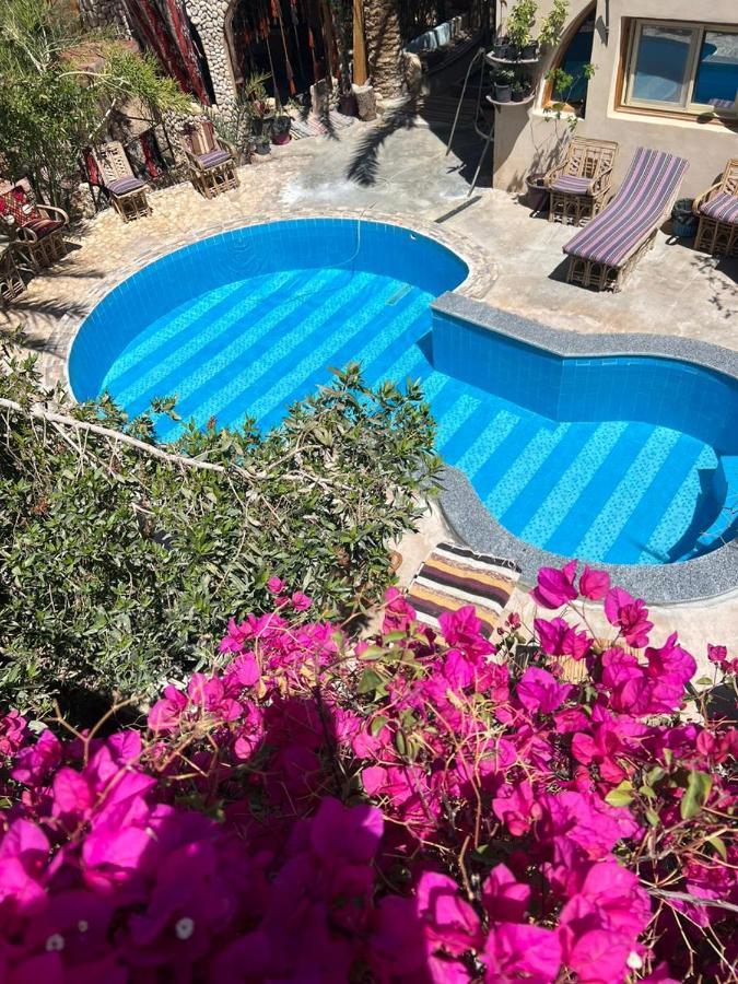 Dream Lodge Siwa Siwa Oasis Dış mekan fotoğraf